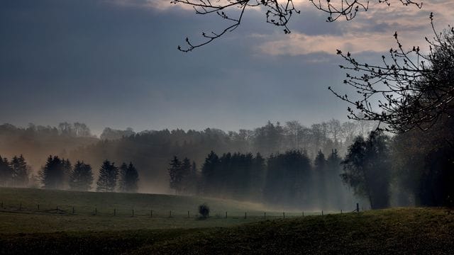 Feld in der Eifel