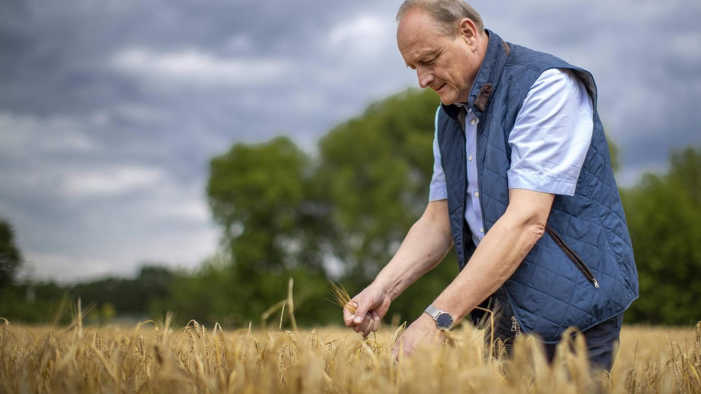 Joachim Rukwied: Deutschland kann Weizen in ärmere Länder exportieren und so Engpässe teils auffangen, sagt der Präsident des deutschen Bauernverbandes.