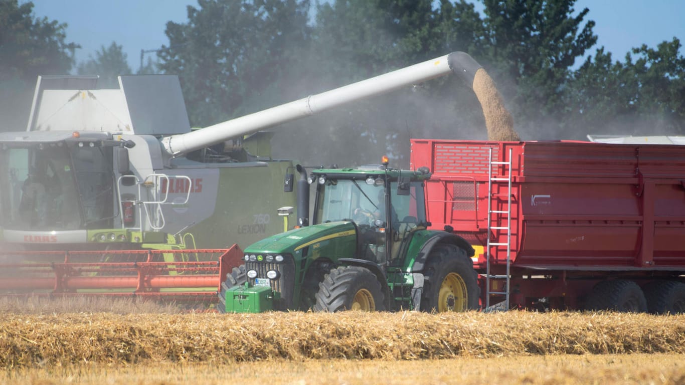 Ein Mähdrescher erntet Getreide (Symbolbild): Der Weizenpreis ist durch den Krieg in der Ukraine rasant angestiegen.