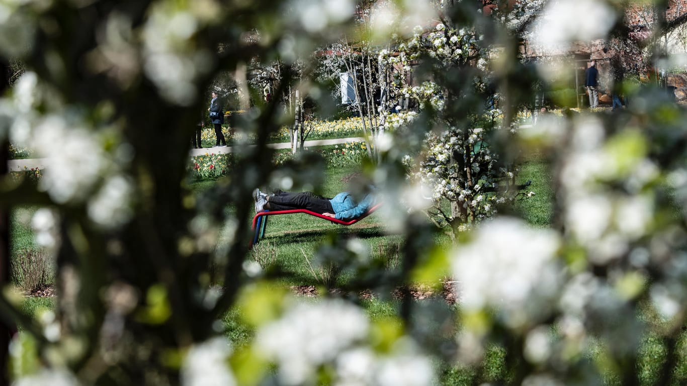 Eine Besucherin genießt die Ruhe auf dem Gelände der Landesgartenschau im brandenburgischen Beelitz.