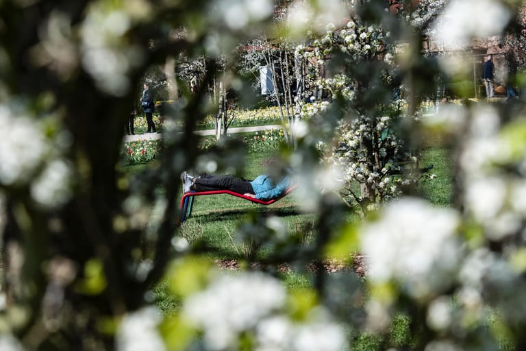 Eine Besucherin genießt die Ruhe auf dem Gelände der Landesgartenschau im brandenburgischen Beelitz.