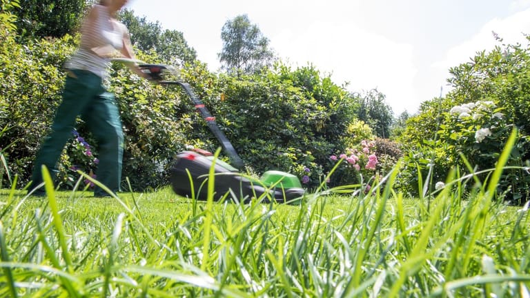Pause! Gartenexperten rufen dazu auf, für einen Monat - den Mai - nicht den Rasen zu mähen.