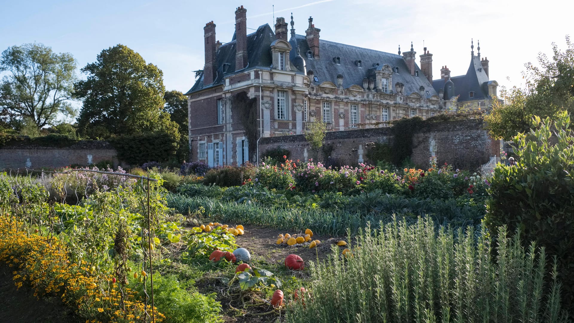 Château de Miromesnil: Die Schlosseigentümerin Nathalie Romatet pflegt die Tradition des "Potager", des Küchengartens.