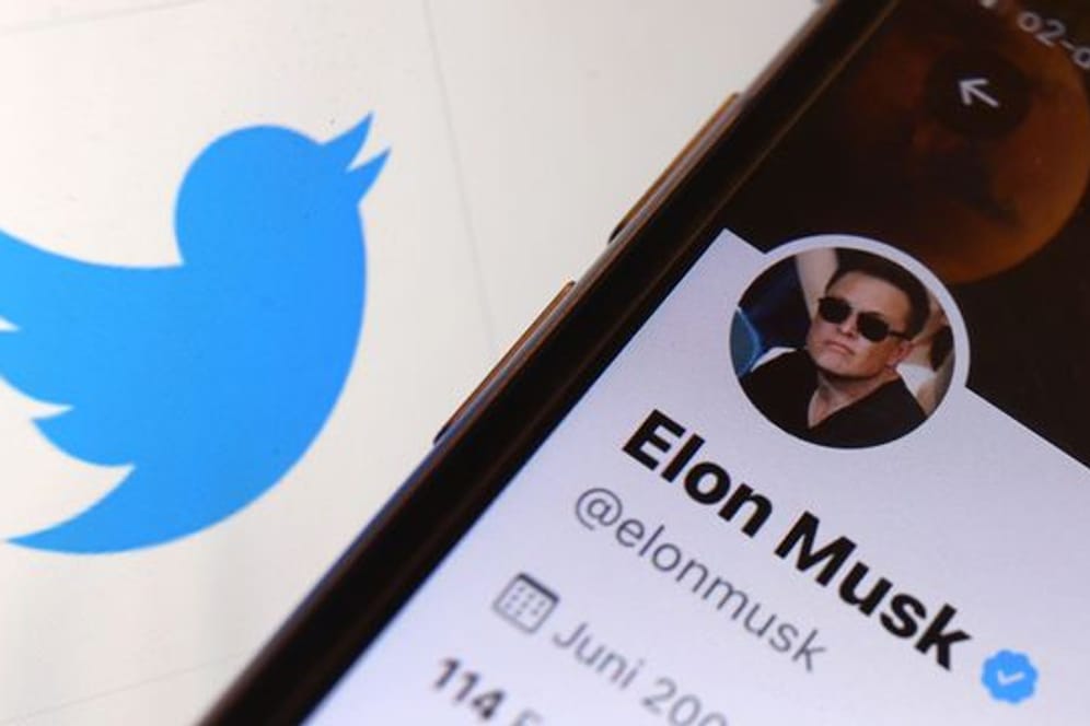 Der Twitter-Account von Elon Musk vor dem Logo der Nachrichten-Plattform Twitter.