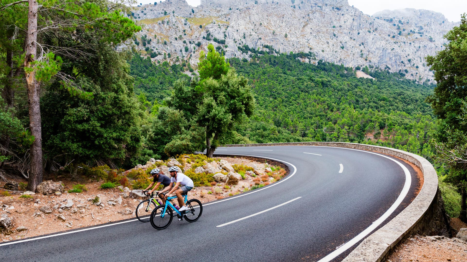 Radfahrer fahren auf den Puig Major auf Mallorca: Vor Corona gab es rund 200 Hotels auf Mallorca, die sich auf Radurlaub spezialisiert hatten.