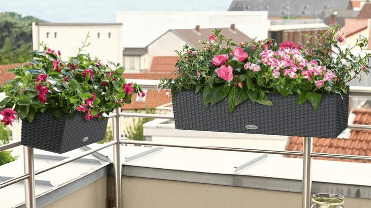 Hingucker für den Balkon: In schönen Blumenkästen sind Ihre Pflanzen, Kräuter und Blumen gut aufgehoben.