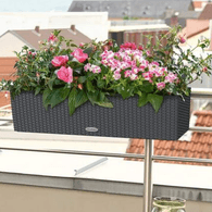 Hingucker für den Balkon: In schönen Blumenkästen sind Ihre Pflanzen, Kräuter und Blumen gut aufgehoben.