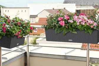 Hingucker für den Balkon: In schönen Blumenkästen sind Ihre Pflanzen, Kräuter und Blumen gut aufgehoben.