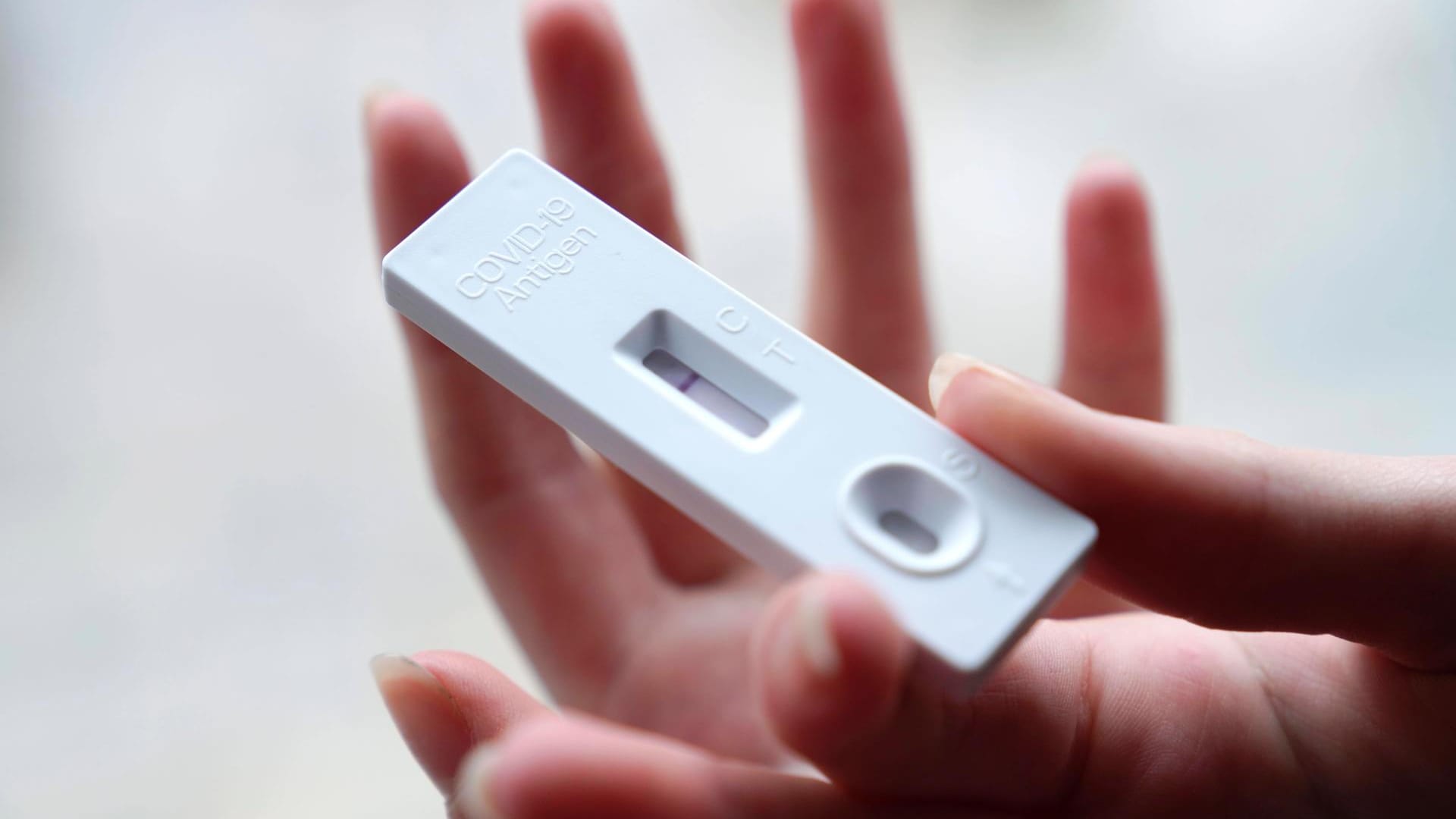 Testpflicht in Schulen und Kitas in der Pandemie. Ein negativer Antigen-Schnelltest (Symbolbild): Das Kabinett in München hat das Ende der Testpflichten in Bayern beschlossen. Testpflicht in Schulen und Kitas in der Pandemie. Ein negativer Antigen-Schnelltest (Symbolbild): Das Kabinett in München hat das Ende der Testpflichten in Bayern beschlossen.