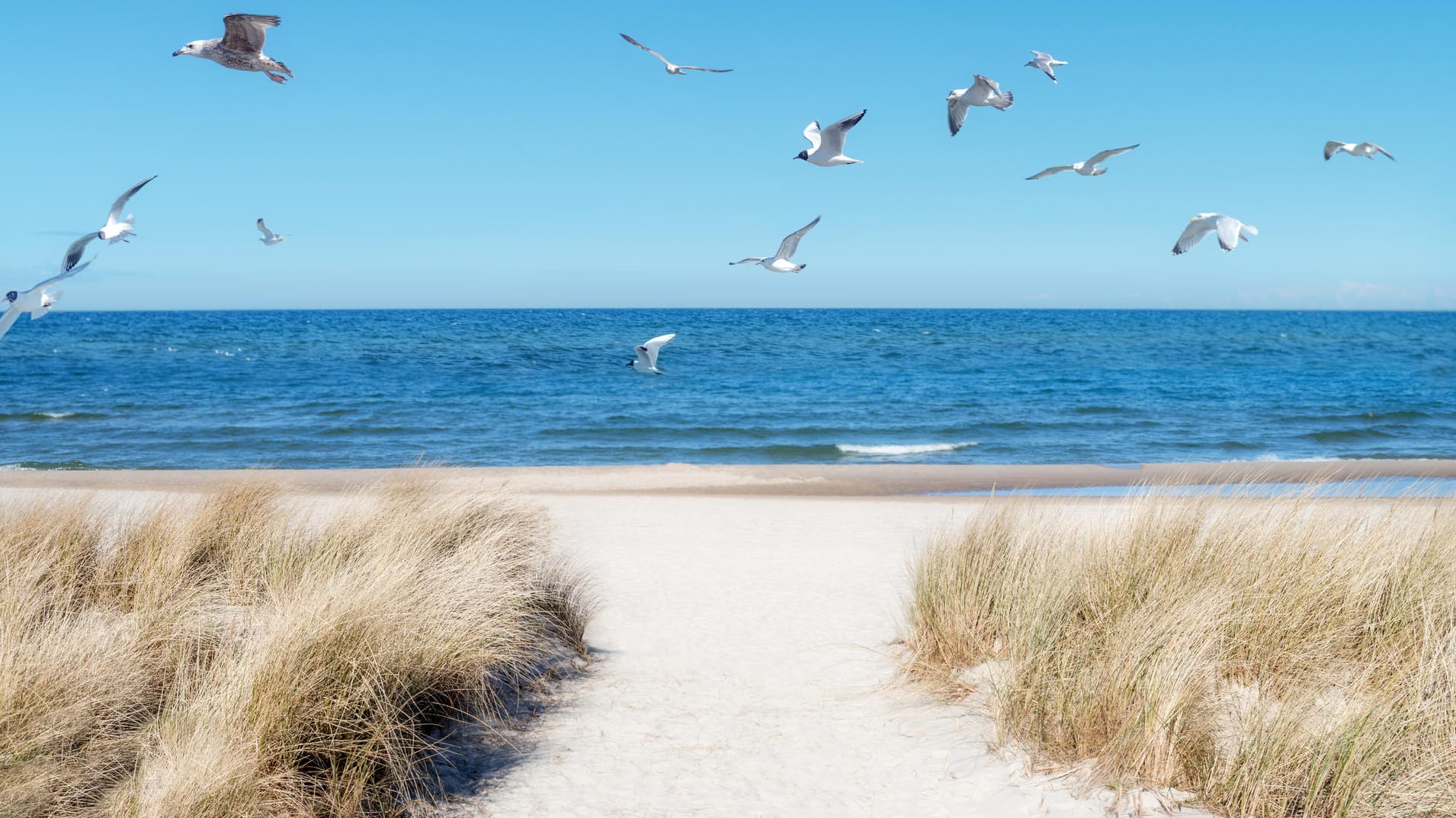 Ostsee-Deal des Tages: Verbringen Sie drei Tage auf Rügen zum Schnäppchenpreis.