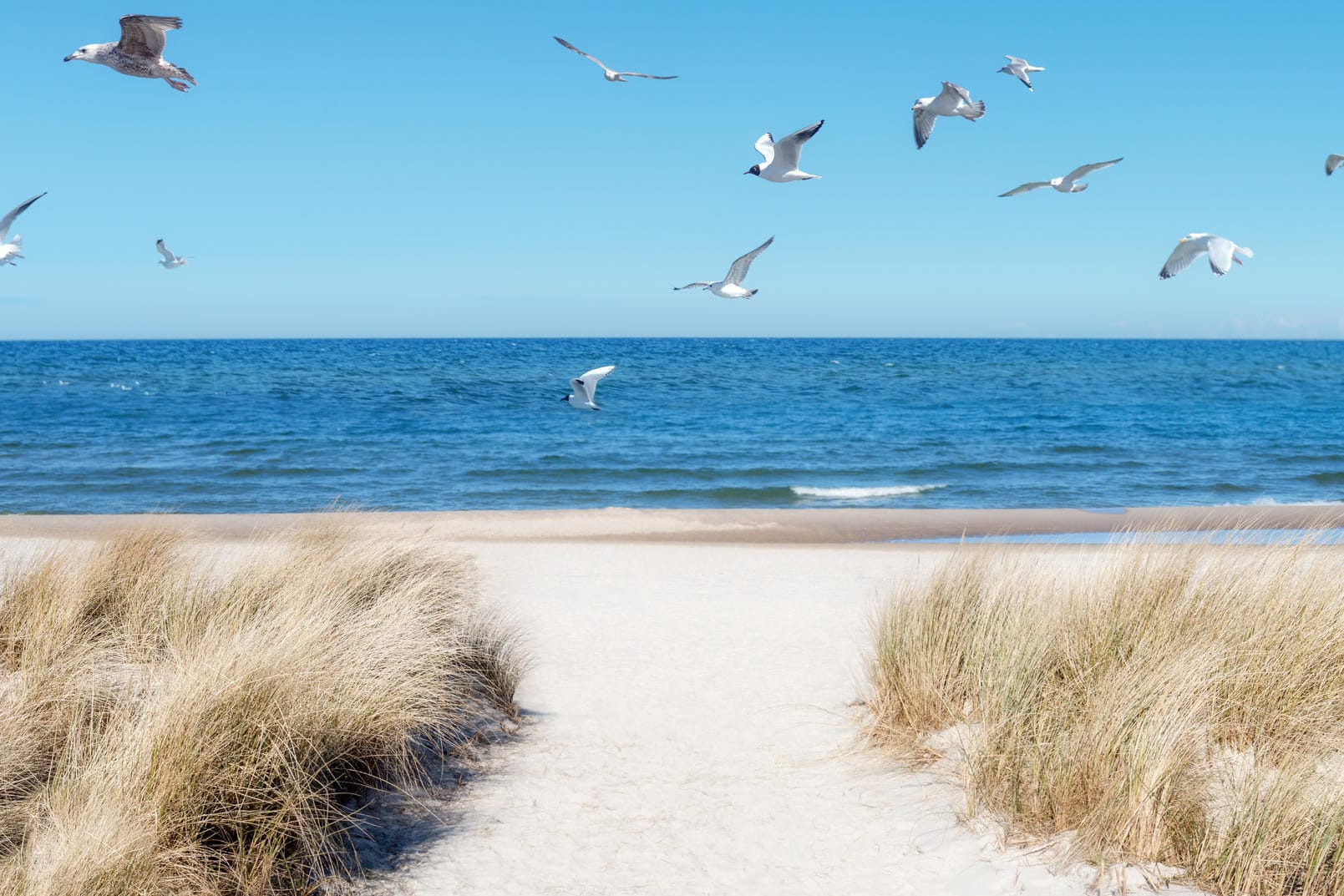 Ostsee-Deal des Tages: Verbringen Sie drei Tage auf Rügen zum Schnäppchenpreis.