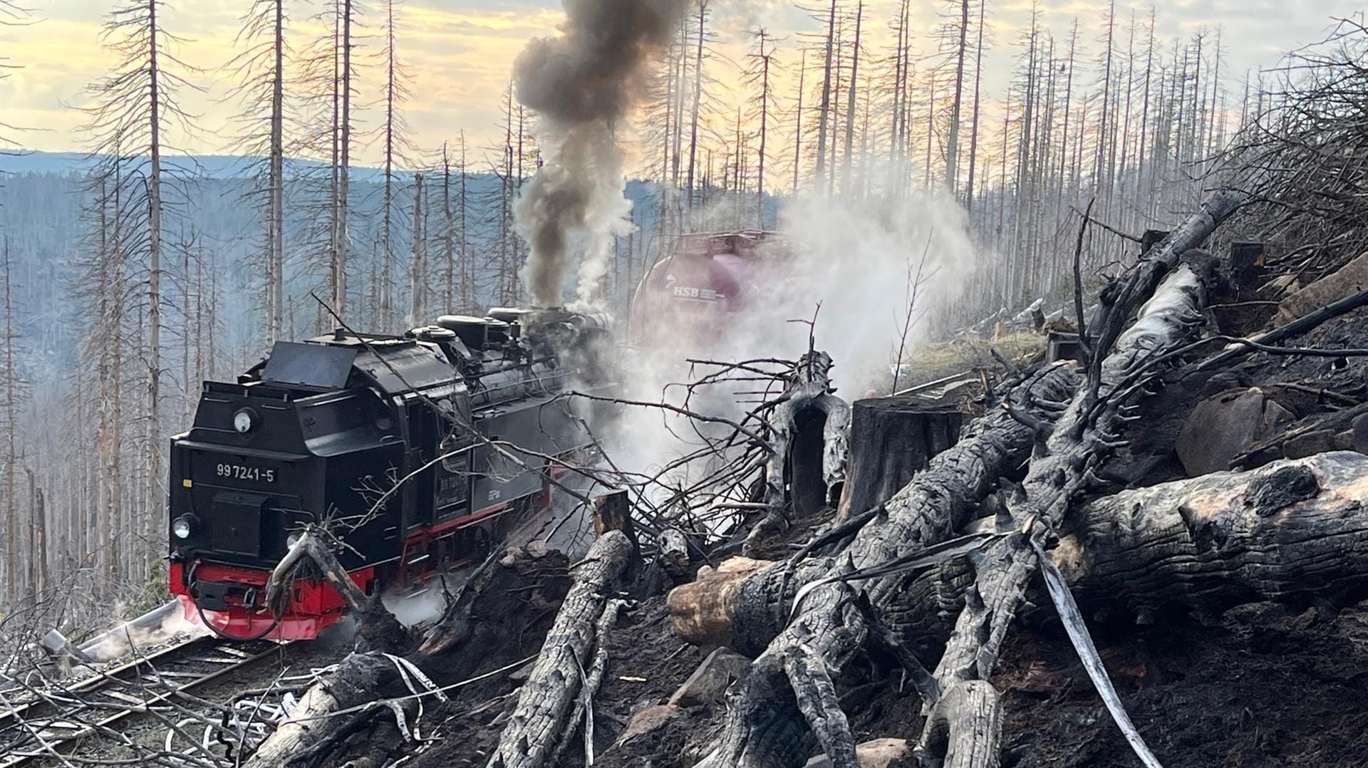 Rauch am Brocken: Das Gelände ist für die Feuerwehr nur schwer zu erreichen.