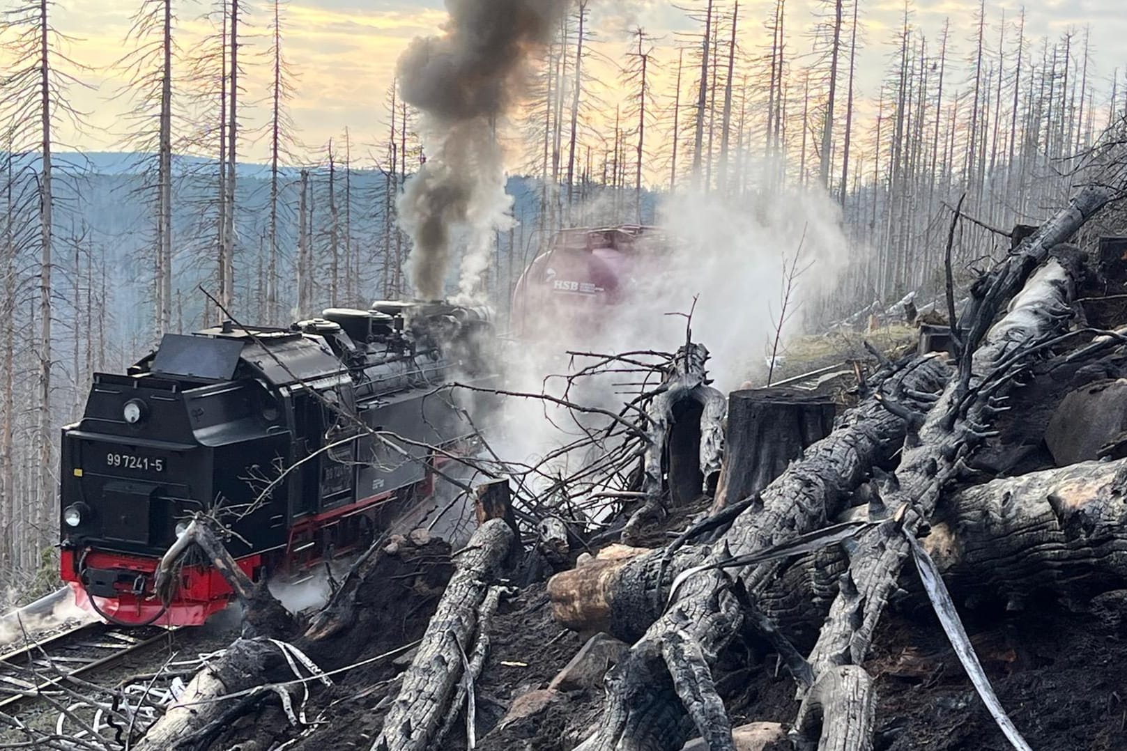 Rauch am Brocken: Das Gelände ist für die Feuerwehr nur schwer zu erreichen.