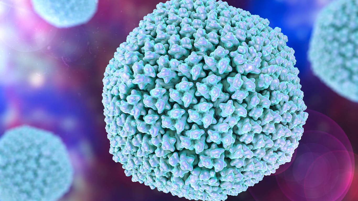 Abbildung eines Adenovirus (Symbolbild): Britische Forscher haben einen möglichen Auslöser der Hepatitis-Erkrankungen bei jüngeren Kindern ausgemacht.