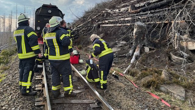 Waldbrand Brocken