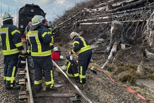 Waldbrand Brocken