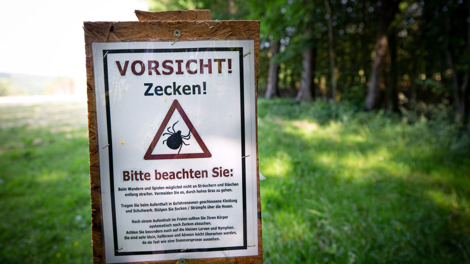 Informationstafel zu Zecken (Archivbild): Die Zahl der Borreliose-Fälle steigt in Berlin seit Beginn der Pandemie. Informationstafel zu Zecken (Archivbild): Die Zahl der Borreliose-Fälle steigt in Berlin seit Beginn der Pandemie.