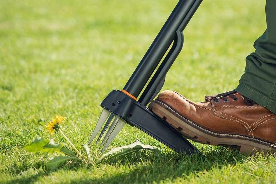 Unkrautstecher kaufen: Fünf Modelle von Gardena, Fiskars und Co. für rückenschonende Gartenarbeit.