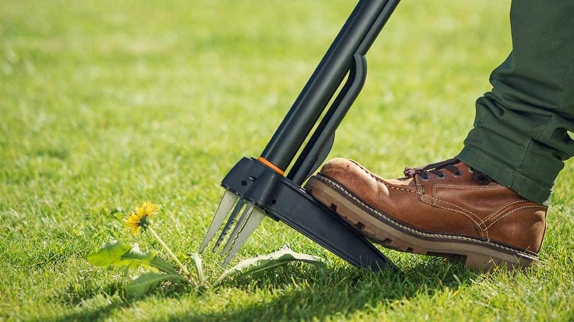 Unkrautstecher kaufen: Fünf Modelle von Gardena, Fiskars und Co. für rückenschonende Gartenarbeit.