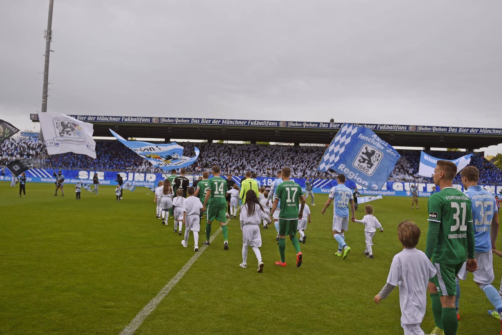 TSV 1860 München gegen Fortuna Köln, im Grünwalder Stadion (Archivbild): Das Stadion soll für 77 Millionen saniert werden.