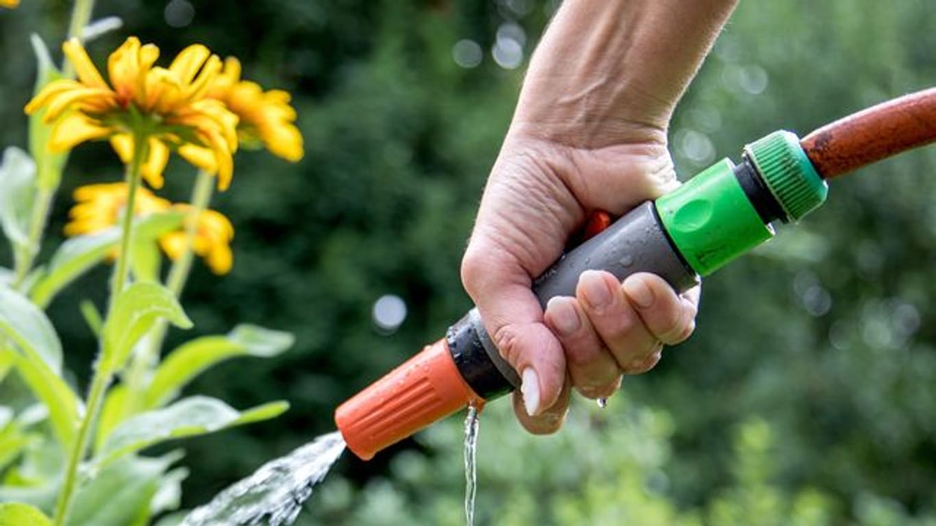 Wer beim Gießen im Garten oder auf dem Balkon Trinkwasser verwendet, sollte auf den Verbrauch achten.