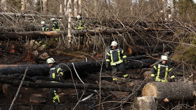 Waldbrand am Brocken