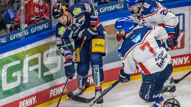 Eisbären Berlin - Adler Mannheim