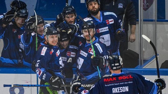 Straubing Tigers - Adler Mannheim