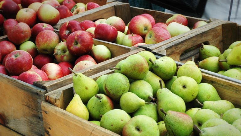 Äpfel und Birnen (Symbolbild): Das heimische Obst belegt die unteren Plätze bei den zuckerarmen Sorten. Pro 100 Gramm rechnet man mit etwa zehn Gramm Zucker.