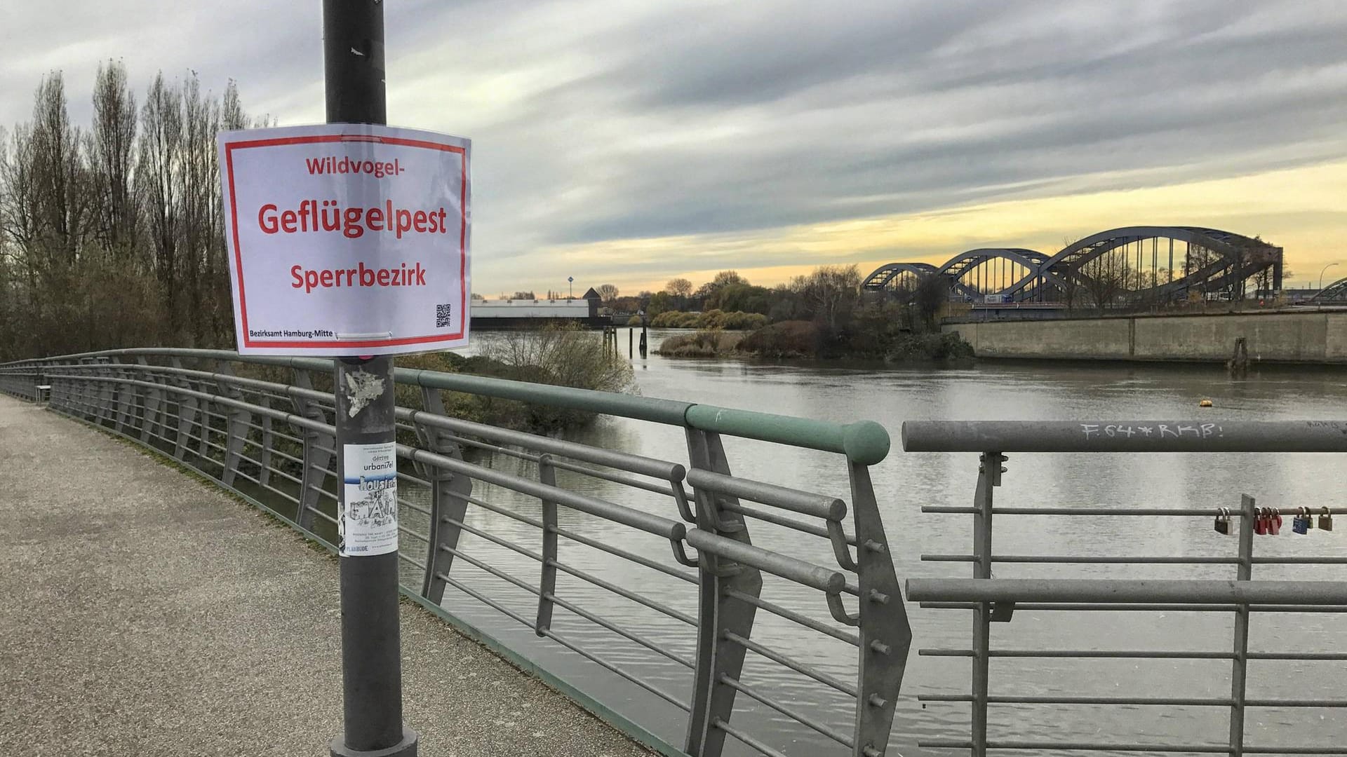 Ein Schild mit der Aufschrift Geflügelpest-Sperrgebiet (Archivbild): Aktuell sind nur Wildvögel von der Geflügelpest betroffen. Ein Schild mit der Aufschrift Geflügelpest-Sperrgebiet (Archivbild): Aktuell sind nur Wildvögel von der Geflügelpest betroffen.