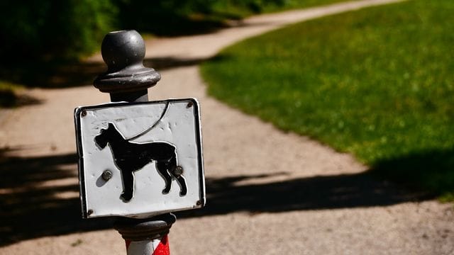 Leinenpflicht für Hunde Leinenpflicht für Hunde