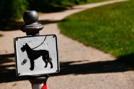 Leinenpflicht für Hunde