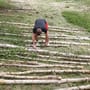 Corona-Auflagen enden: Maibaumtradition ohne Hindernisse