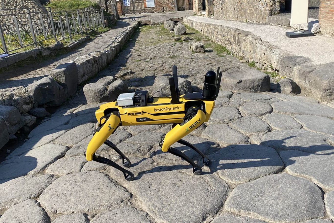 Spot in Pompeji: Der Roboterhund inspiziert die archäologische Anlage.