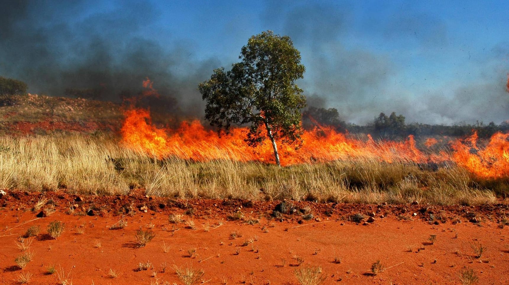 Buschbrand in Australien. (Archivbild): Extreme Dürre und Hitze sorgten 2019/2020 für ein besonders schlimmes Inferno.