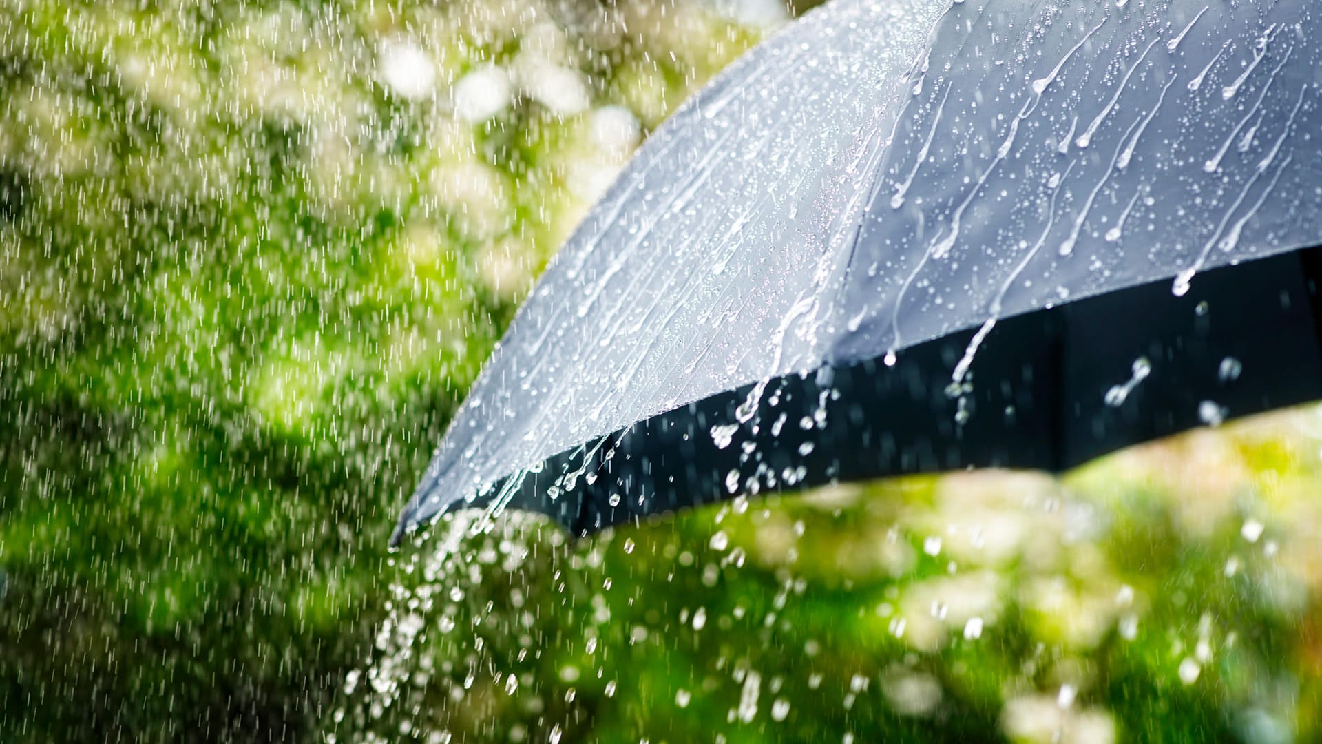 Regenschirme für stürmische Sommertage.