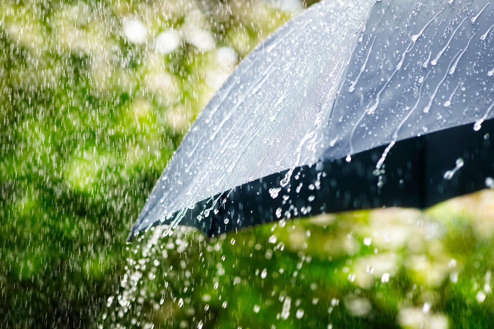 Regenschirme für stürmische Sommertage.