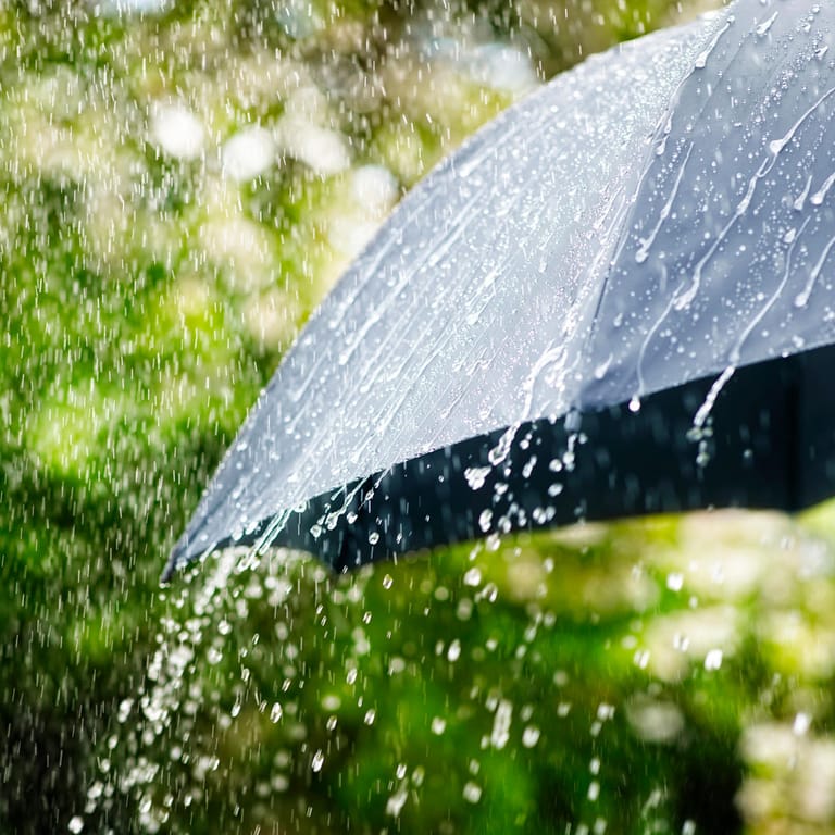 Regenschirme für stürmische Sommertage.