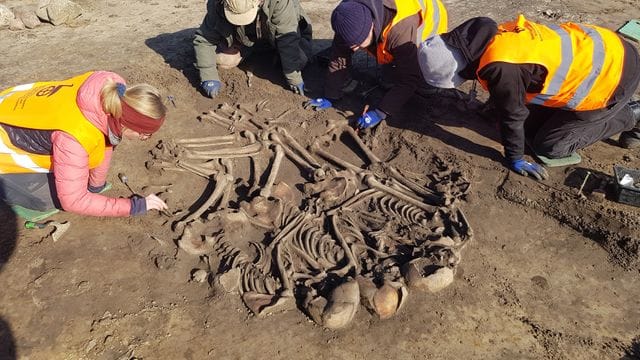 Archäologen haben bei Wustermark im Landkreis Havelland eine Jahrtausende alte Grabstätte mit Überresten mehrerer Menschen entdeckt. Archäologen haben bei Wustermark im Landkreis Havelland eine Jahrtausende alte Grabstätte mit Überresten mehrerer Menschen entdeckt.