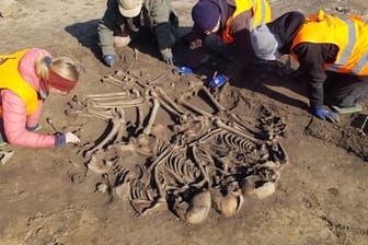 Archäologen haben bei Wustermark im Landkreis Havelland eine Jahrtausende alte Grabstätte mit Überresten mehrerer Menschen entdeckt.