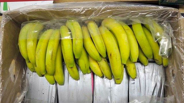 In Bananenkisten aus Ecuador sichergestelltes Kokain. In Bananenkisten aus Ecuador sichergestelltes Kokain.