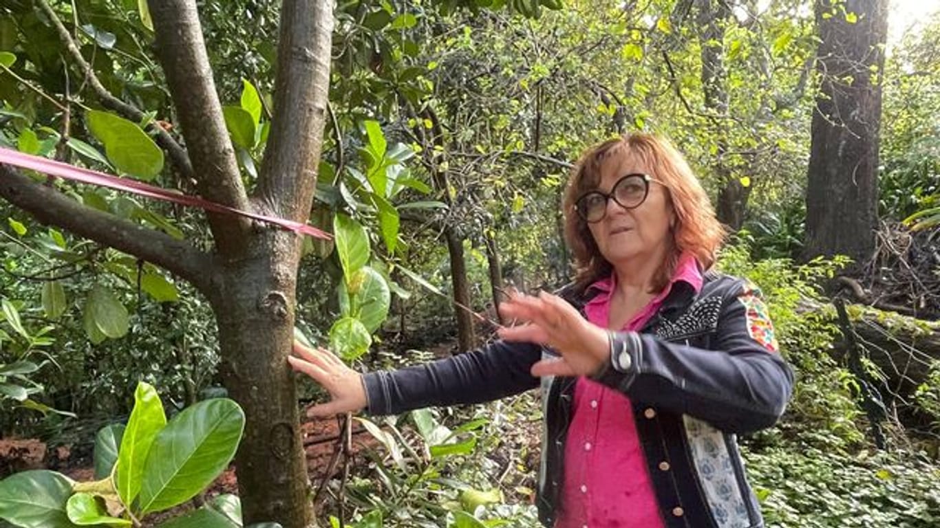 April Sampson-Kelly steht inmitten ihrer "Silk Farm" im australischen Mount Kembla, einem sogenannten "Food Forest" oder Ernährungs-Garten, der nach den Prinzipien der Permakultur-Lehre angelegt wurde.