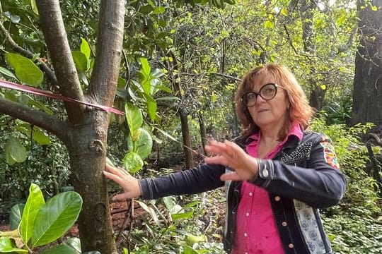 April Sampson-Kelly steht inmitten ihrer "Silk Farm" im australischen Mount Kembla, einem sogenannten "Food Forest" oder Ernährungs-Garten, der nach den Prinzipien der Permakultur-Lehre angelegt wurde.