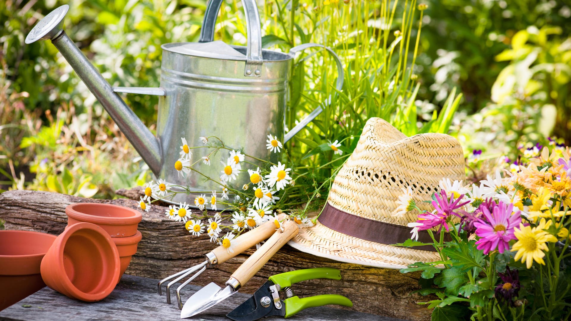 Gartenwerkzeuge und ein Strohhut im Grünen: Haben Sie das Zeug zum Hobbygärtner?