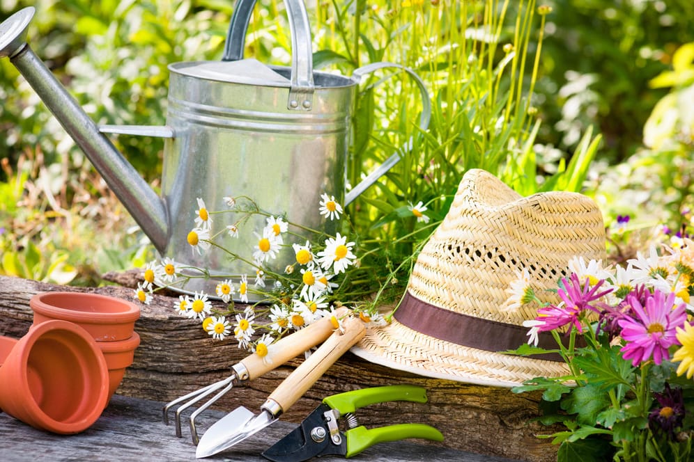 Gartenwerkzeuge und ein Strohhut im Grünen: Haben Sie das Zeug zum Hobbygärtner?