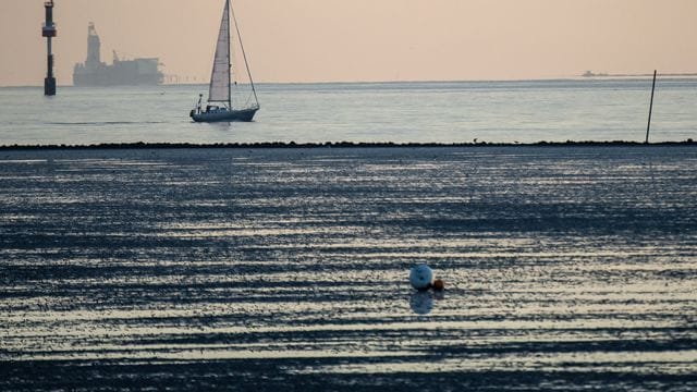 Sowohl unter als auch über Wasser führt das Nordseelife-Projekt des Nabu.