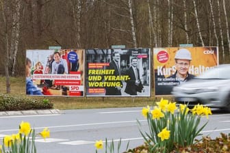Wahlplakate in Mölln.