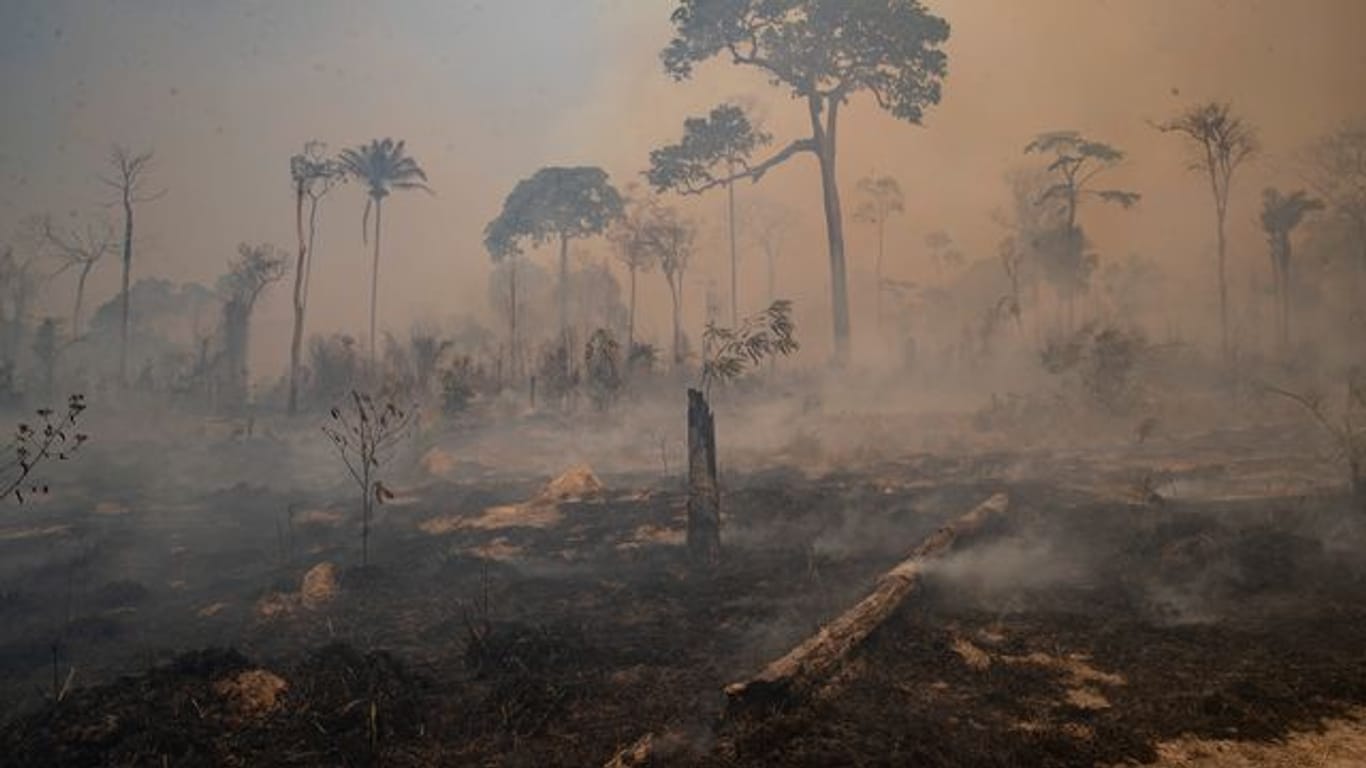 Rauch steigt bei einem Brand im Amazonas-Gebiet auf.