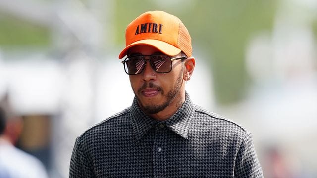 Ex-Formel-1-Weltmeister Lewis Hamilton ließ vor seinem Haus einen Baum fällen.