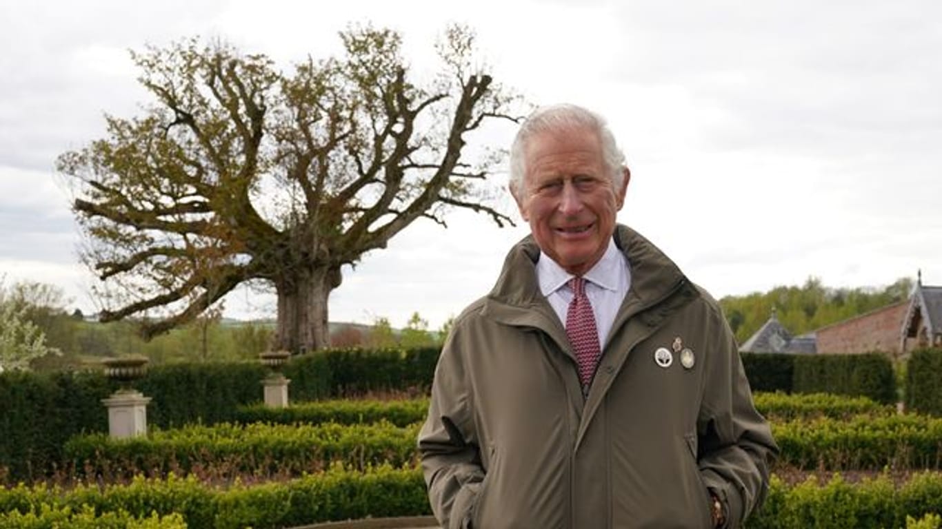 Prinz Charles von Wales neben der "Alten Platane" im Garten von Dumfries House in Edinburgh.